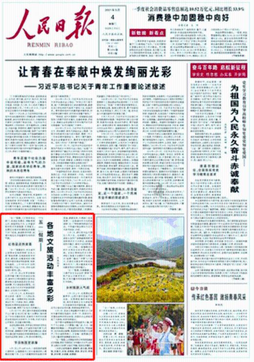 这样的小鱿鱼炒白菜，保准你味蕾爆炸！