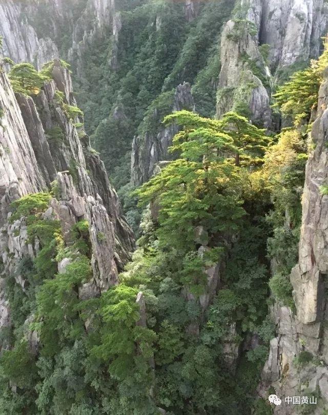 祝贺！他们是太原市2023年度最美“典型”