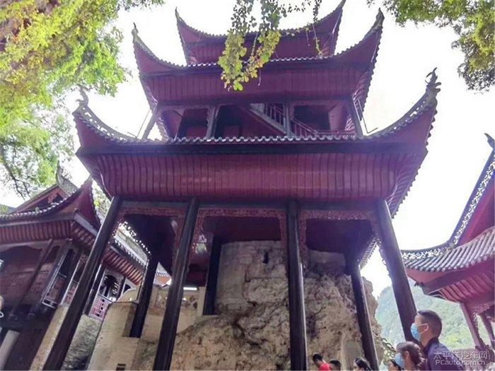 全战：幕府将军2